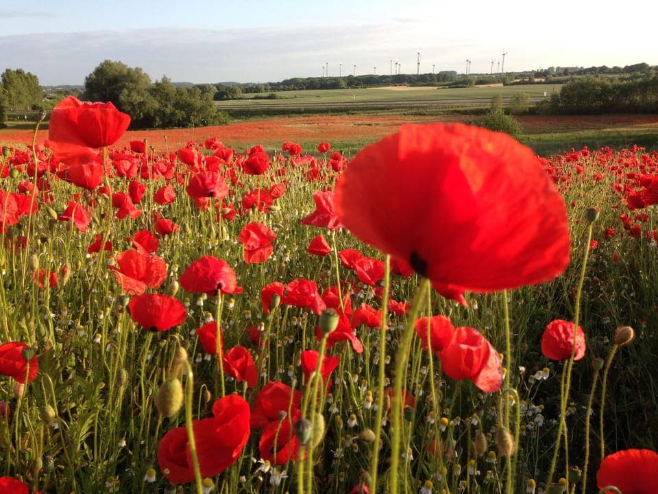 Apartment | Interior detail