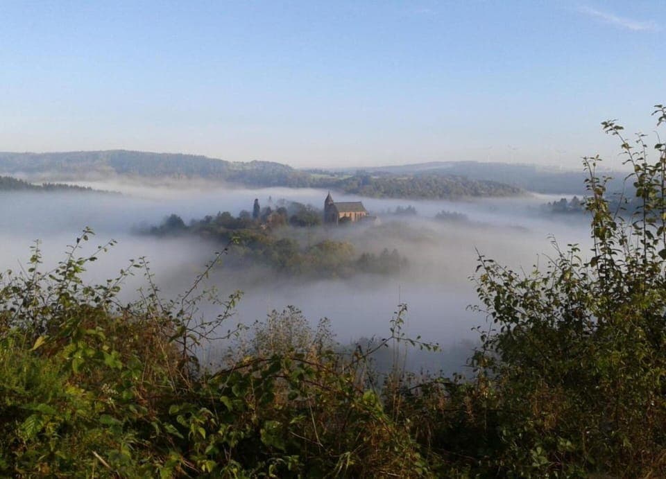 House | View from property