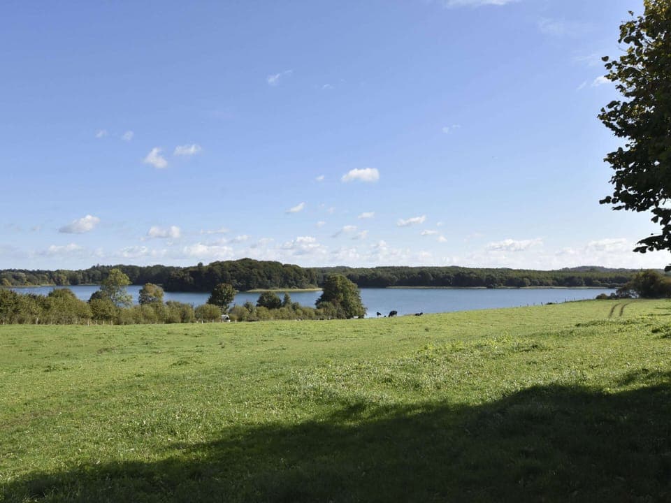 Apartment | View from property