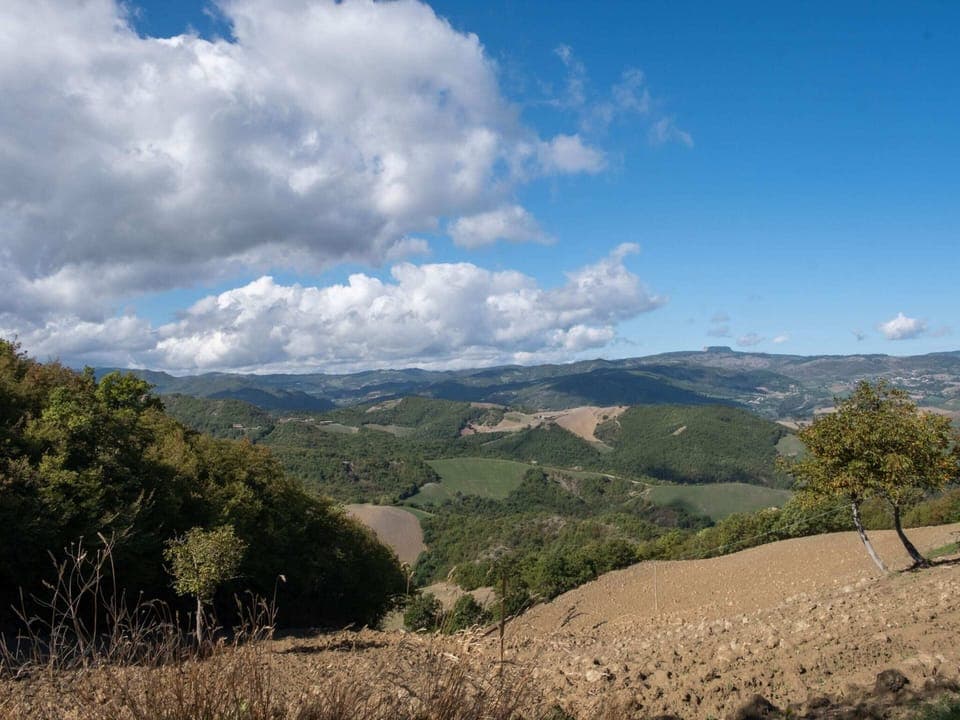 House | View from property