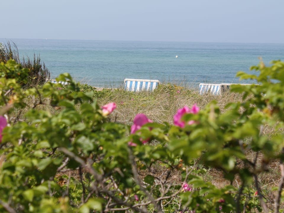 Bungalow | View from property