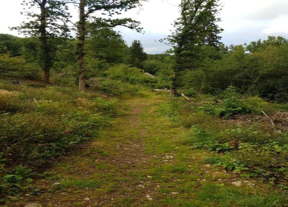 Apartment | View from property