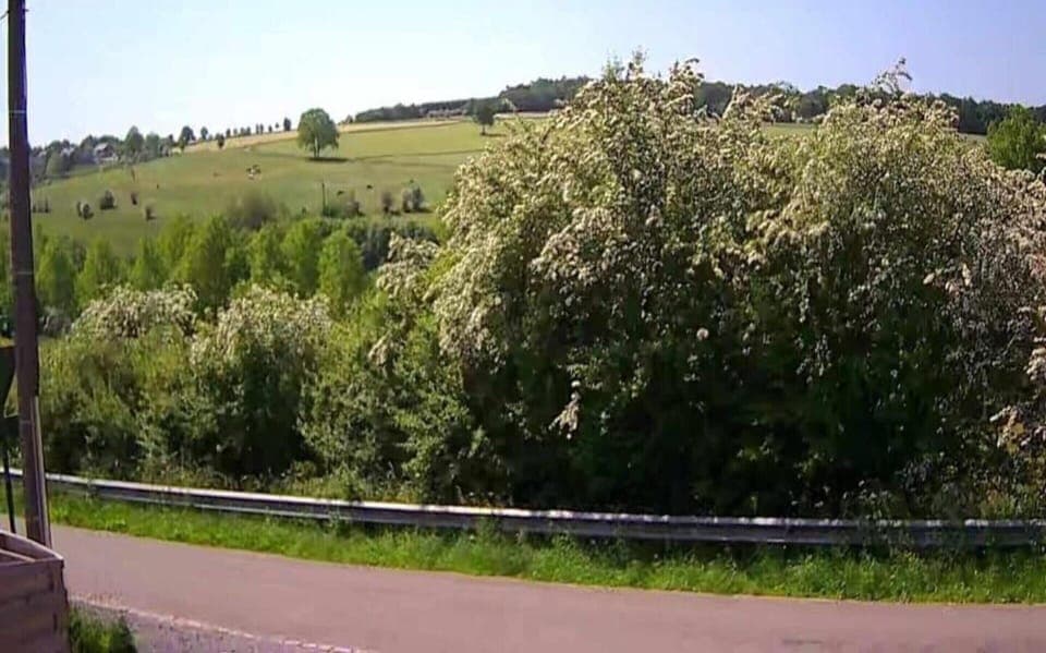 House | View from property