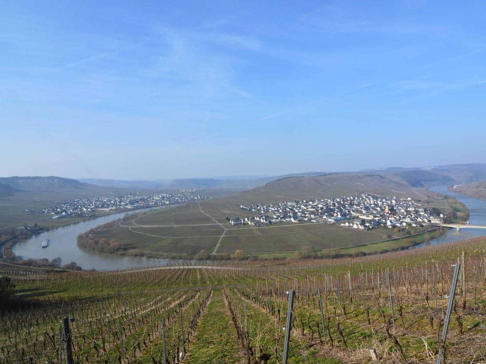 Apartment | View from property