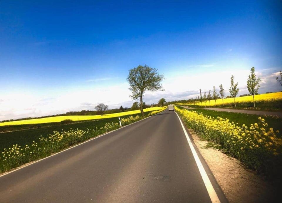 Apartment | View from property