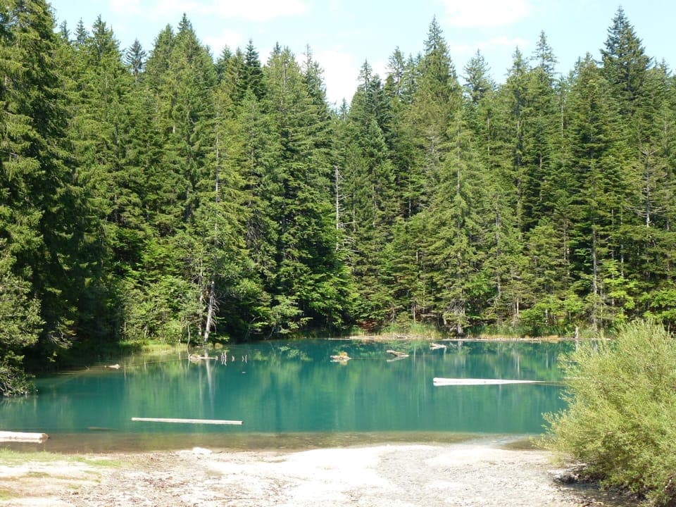 Apartment | View from property