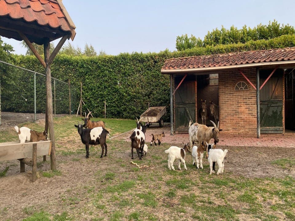 House | Miscellaneous