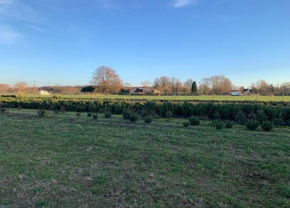 Chalet | View from property