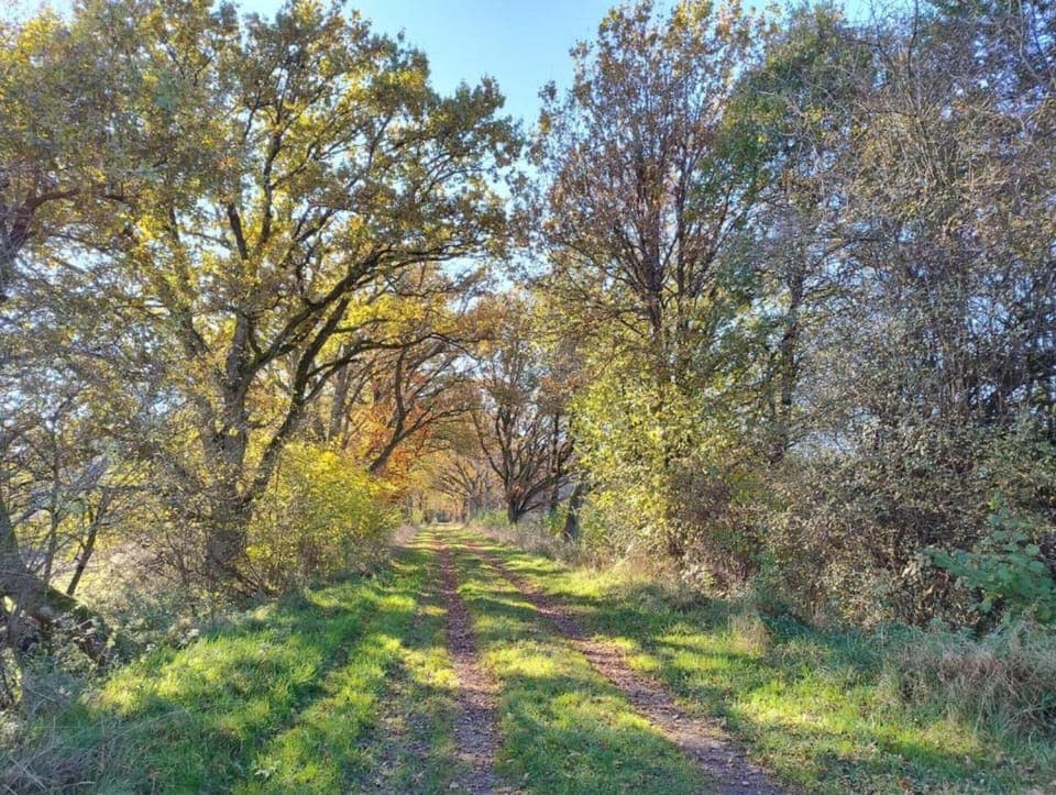 Apartment | View from property