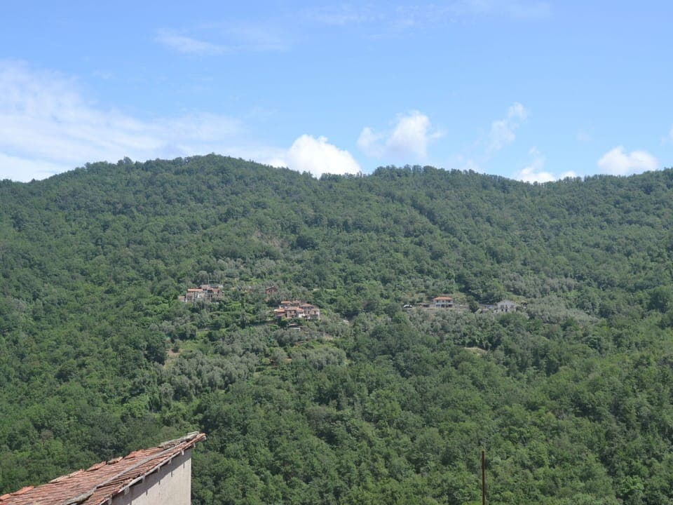 House | View from property