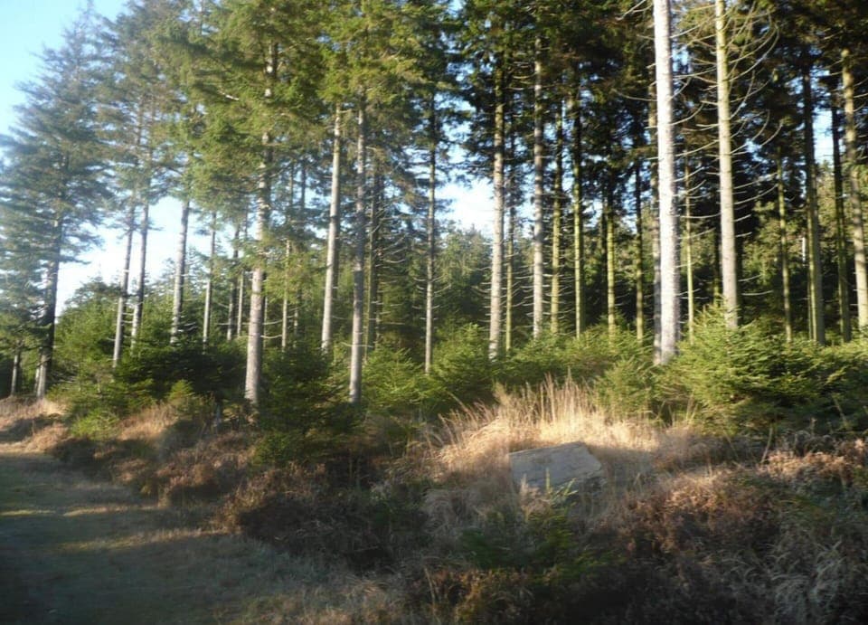 Apartment | View from property