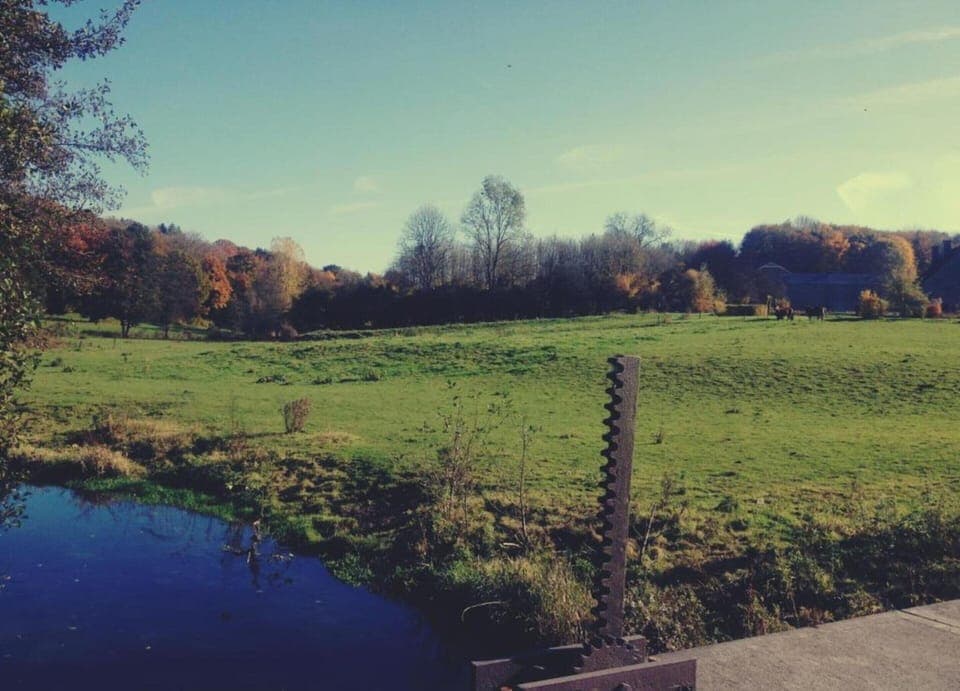 House | View from property