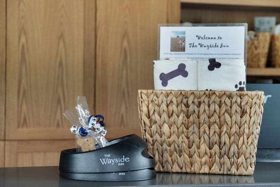 Pet-friendly amenities