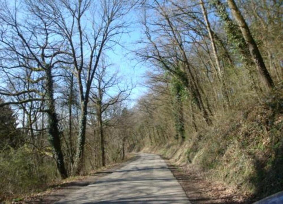 Apartment | View from property