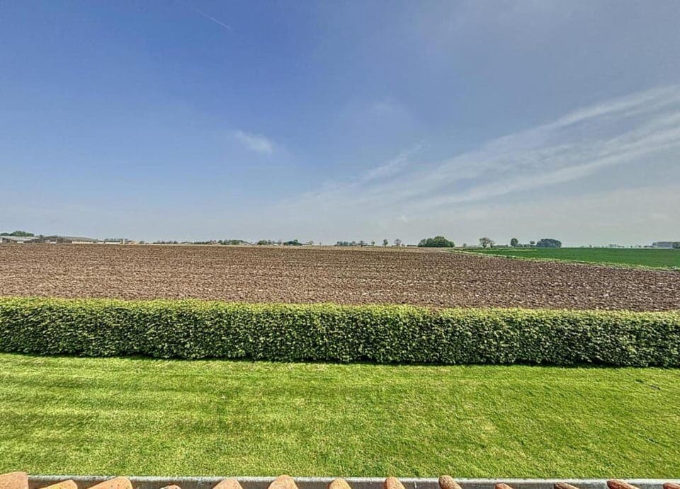 House | View from property