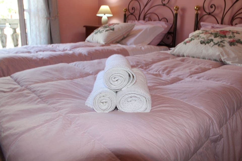 Double or Twin Room, Private Bathroom | Down comforters, memory foam beds, minibar, desk