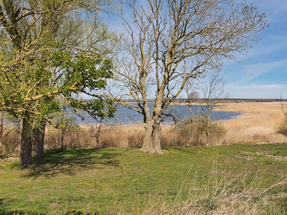 Apartment | View from property