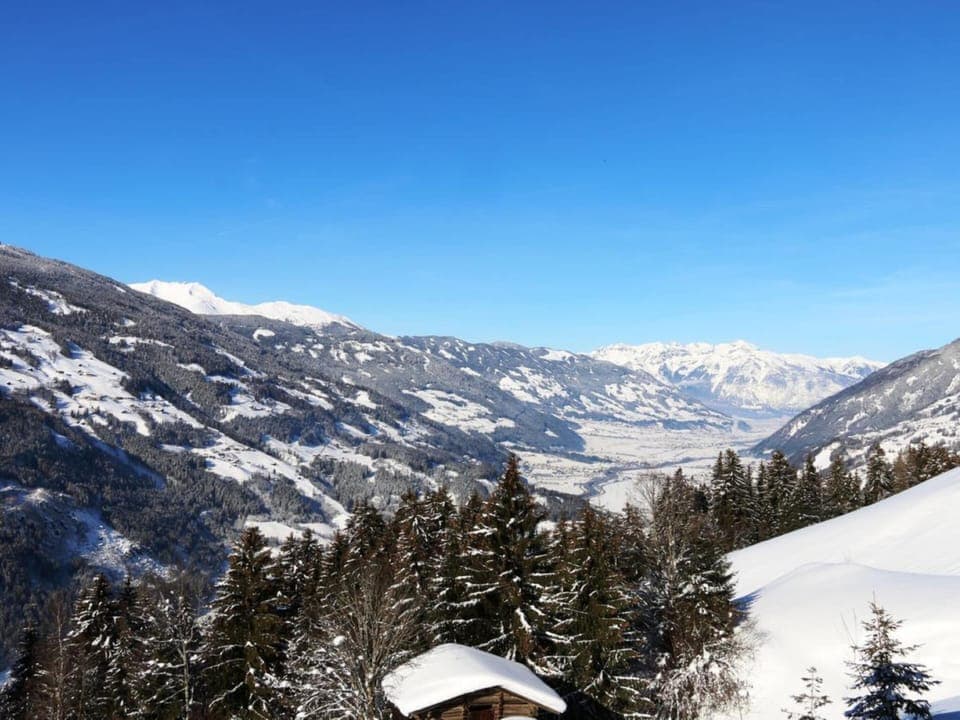 Apartment | View from property