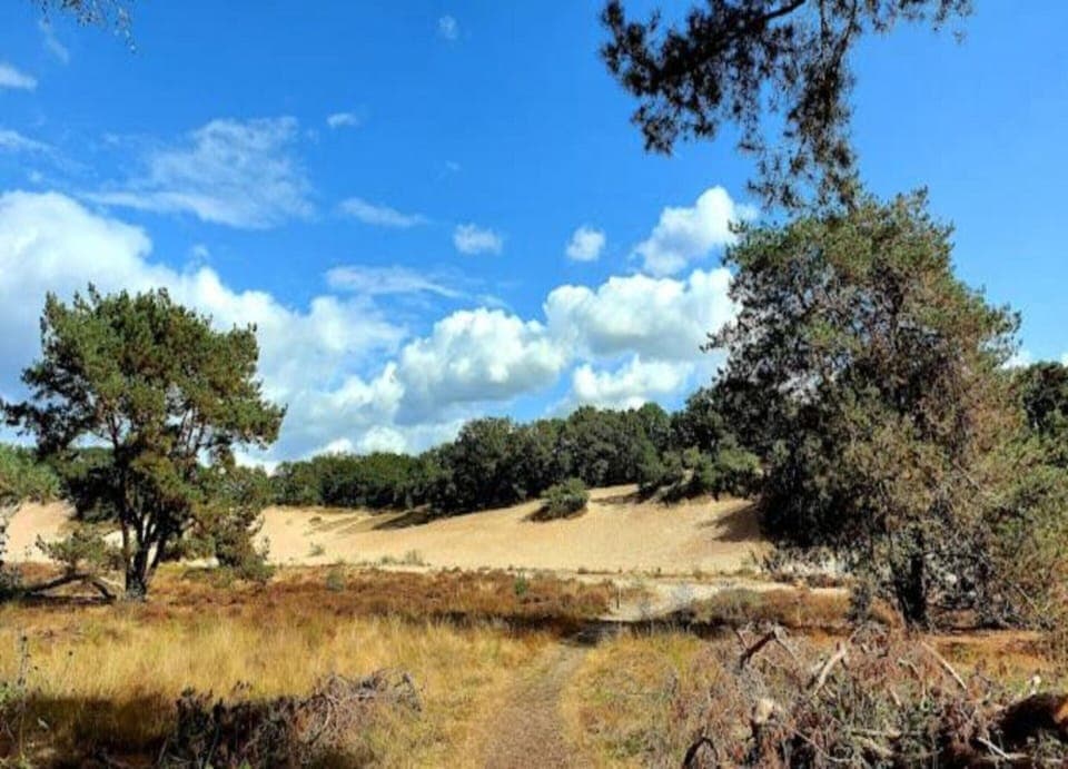 House | View from property