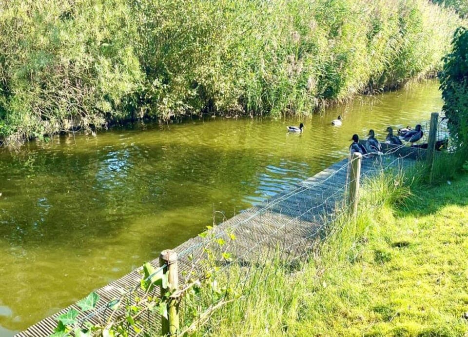 Bungalow | View from property