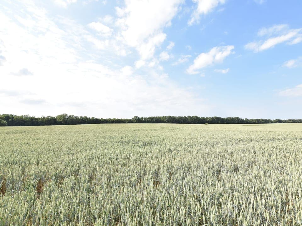 House | View from property