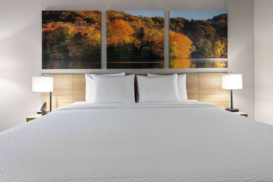 Room, 1 King Bed, Non Smoking | Down comforters, pillowtop beds, desk, laptop workspace