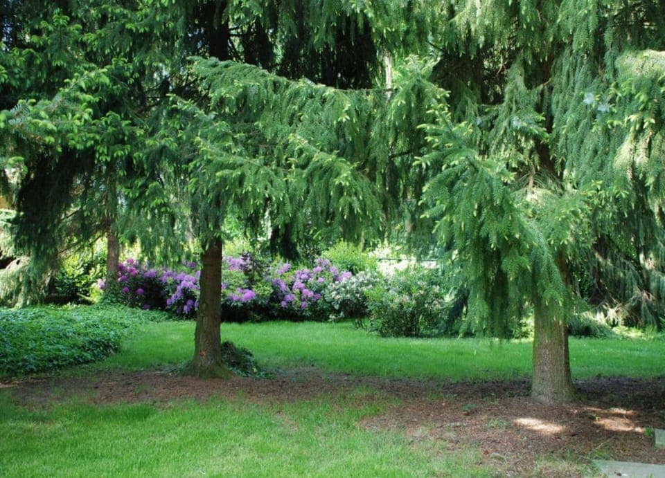 Bungalow | View from property