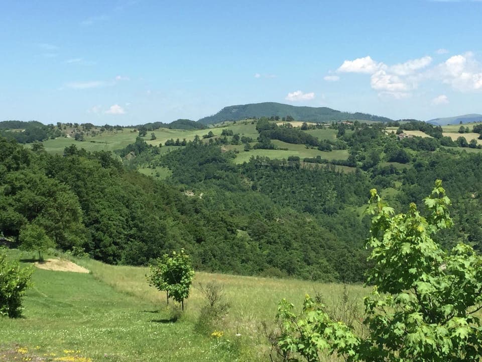 House | View from property