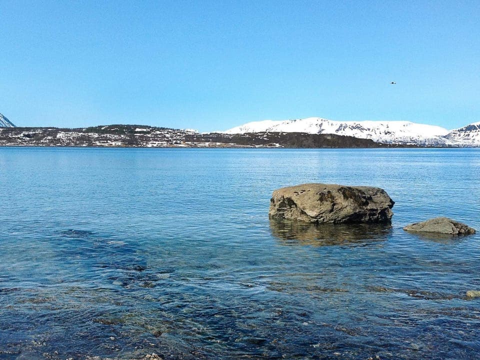 House | Miscellaneous