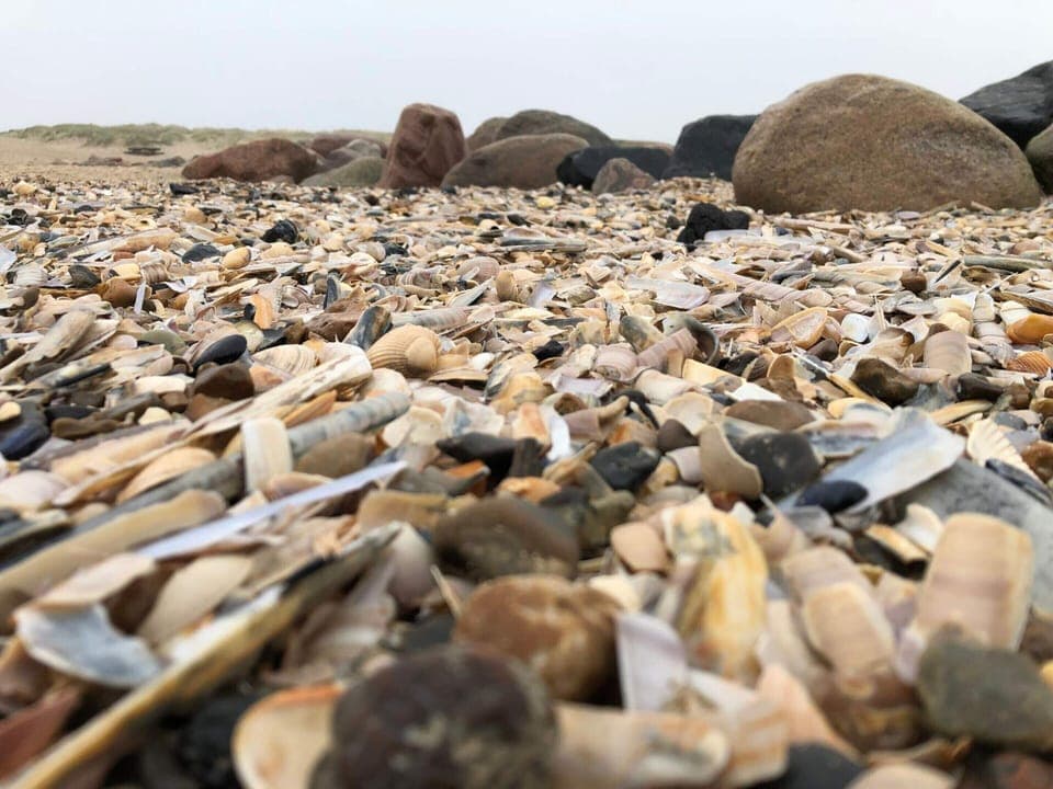 House | Miscellaneous