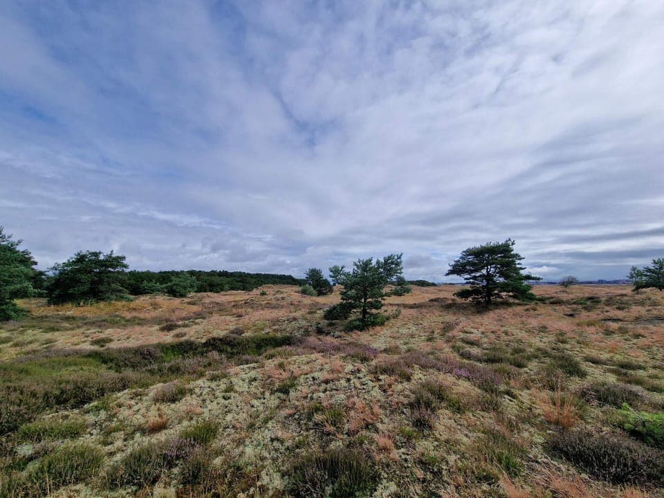 Apartment | Miscellaneous