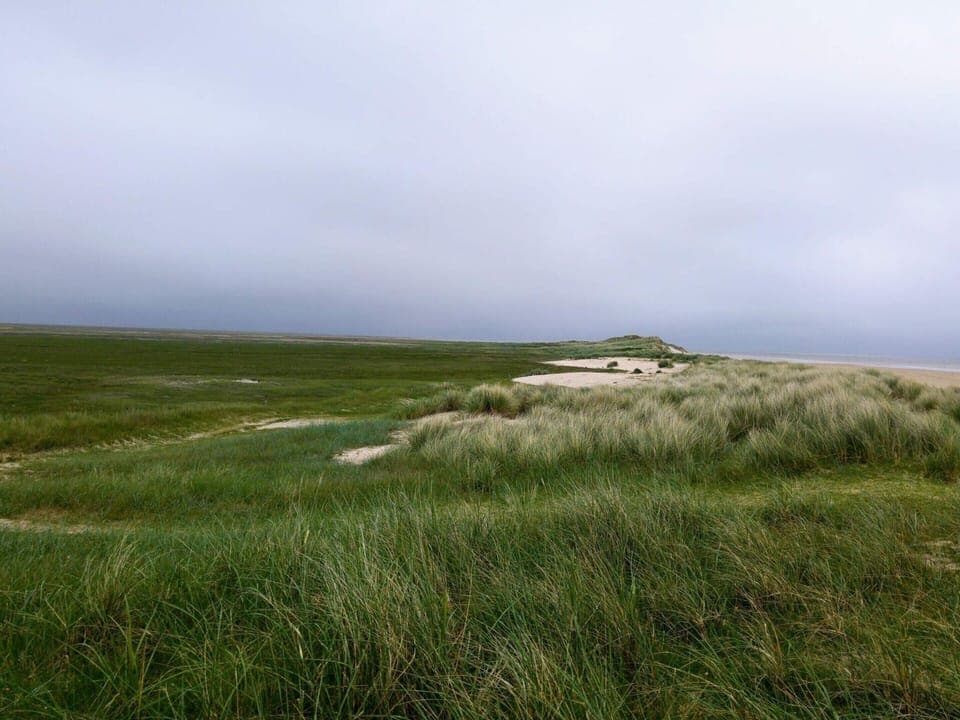 House | Miscellaneous