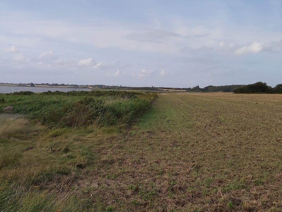 House | Miscellaneous