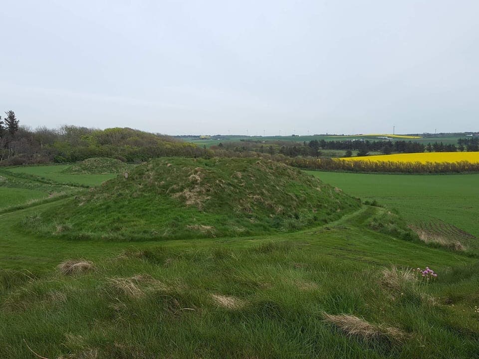 House | Miscellaneous