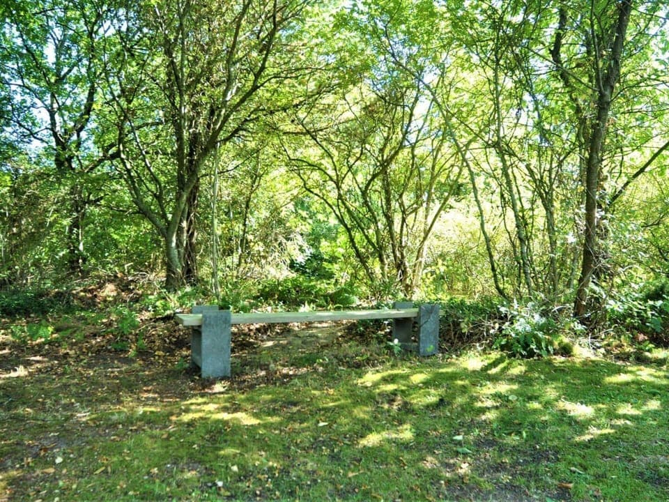 House | Miscellaneous