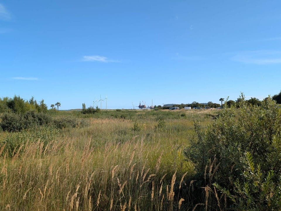 House | Miscellaneous