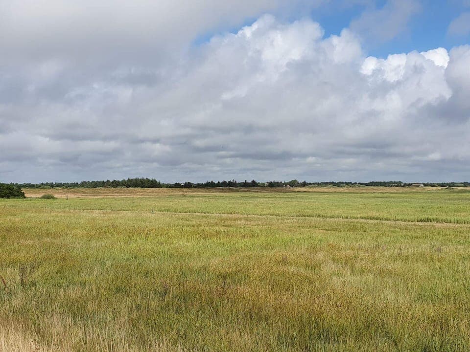 House | Miscellaneous