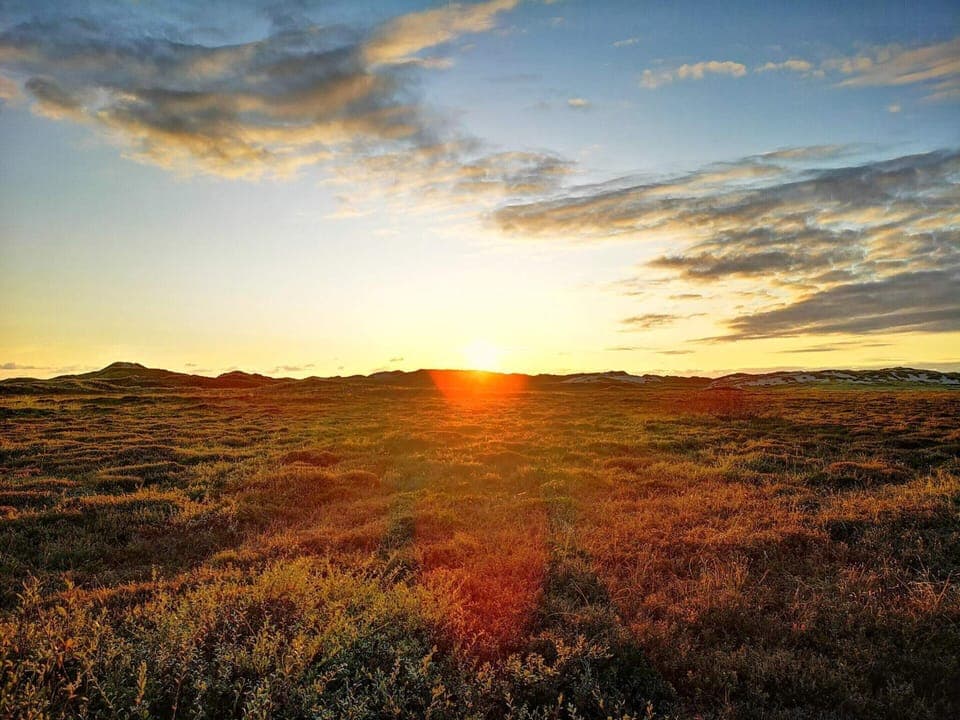 House | Miscellaneous