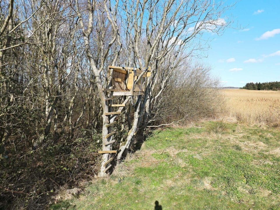 House | View from property