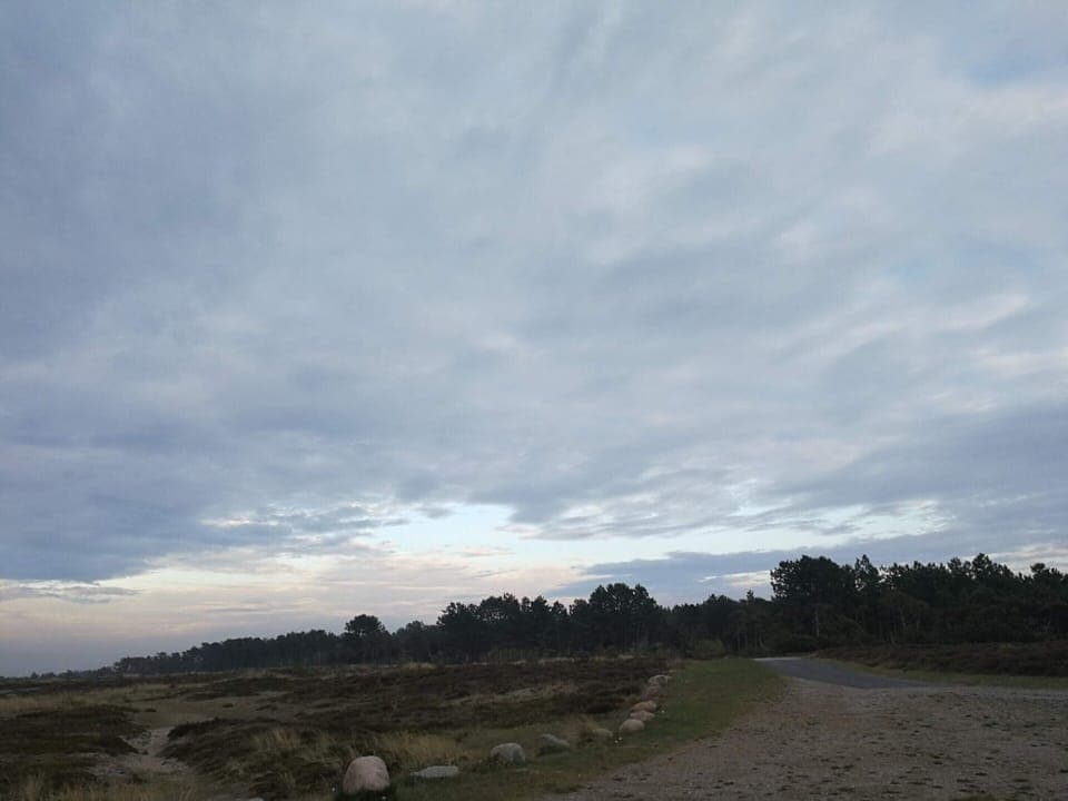 House | Miscellaneous