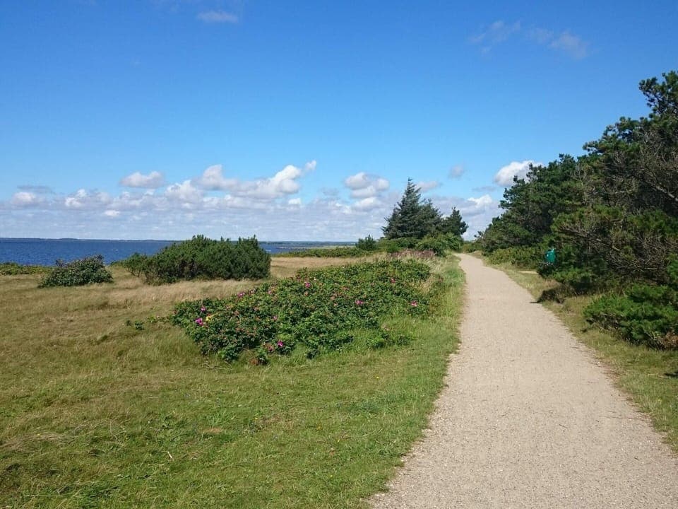 House | Miscellaneous