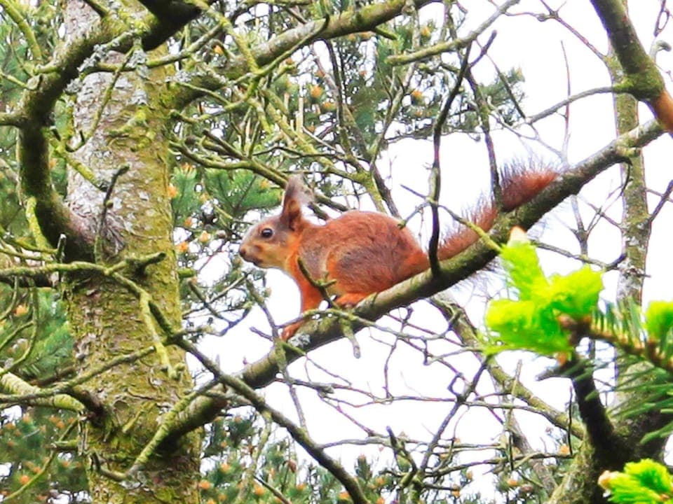 House | View from property