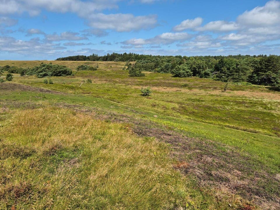 House | Miscellaneous