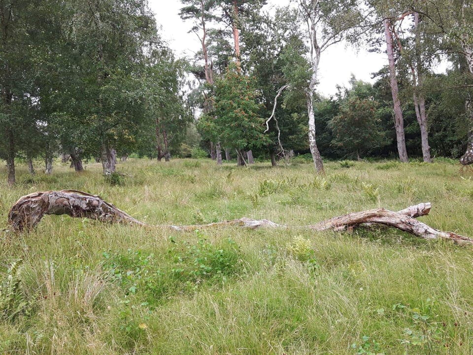 House | Miscellaneous