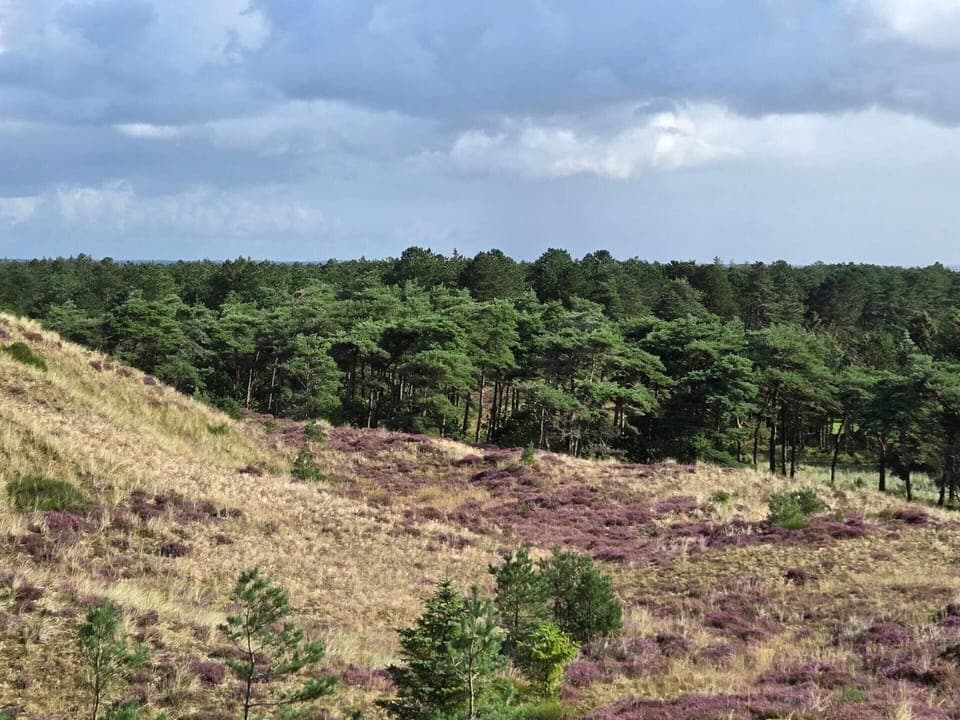 House | Miscellaneous