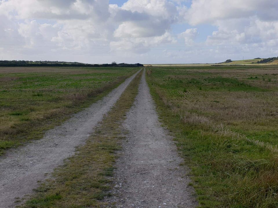 House | Miscellaneous