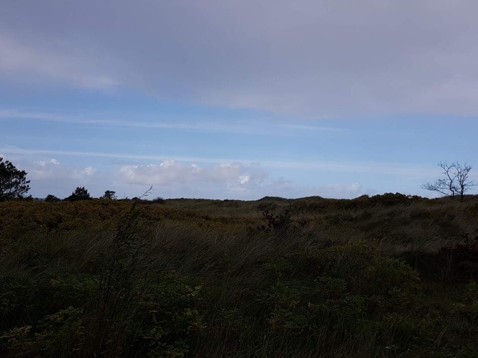 House | Miscellaneous