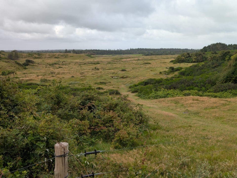 House | Miscellaneous