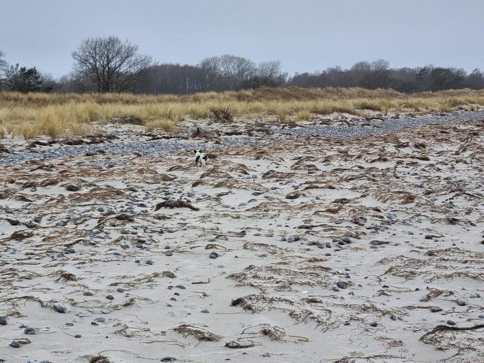 House | Miscellaneous