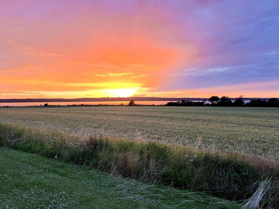 House | View from property